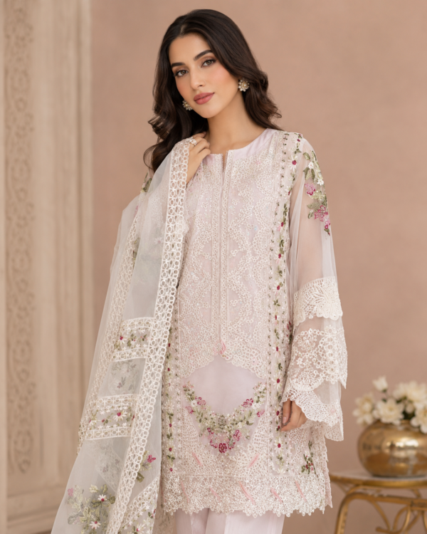 Mehrunisa Blush Pink Embroidered Tissue Net Silk Kameez Shalwar Set - Image 2